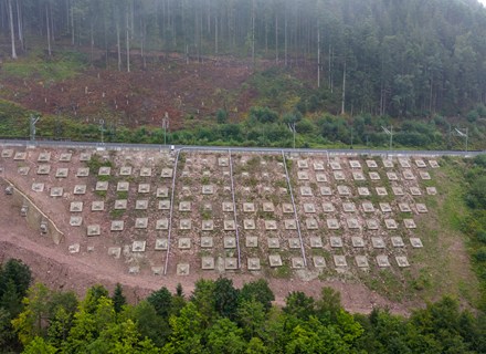 Seelenwald 2