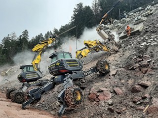 Seelenwald 1