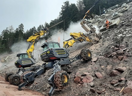 Seelenwald 1
